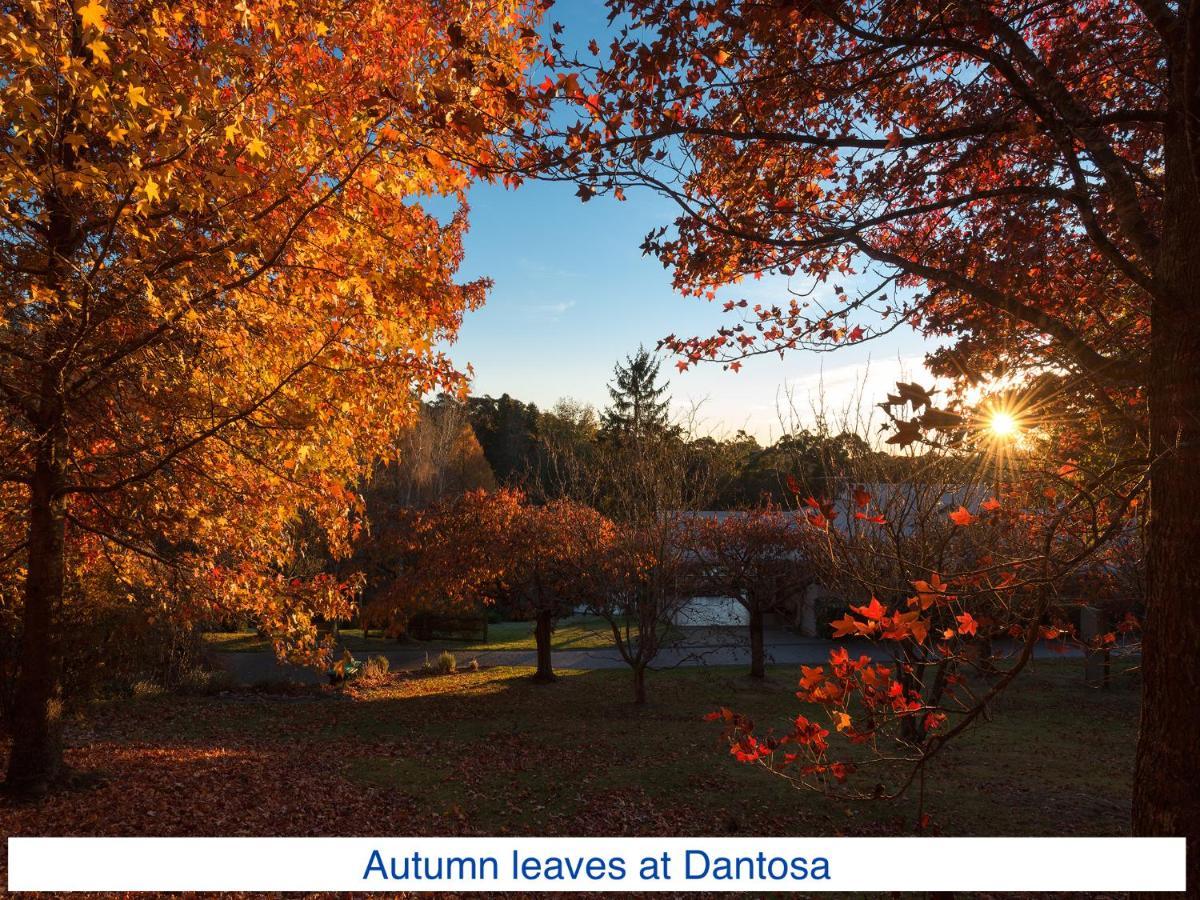 Vila Dantosa Blue Mountains Retreat Katoomba Exteriér fotografie